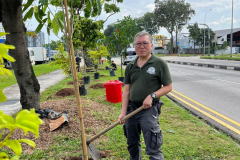 treescape-power-trees-plantation
